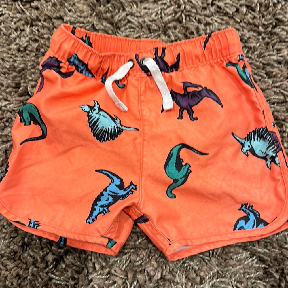 Hanna Andersson size 2t swim trunks